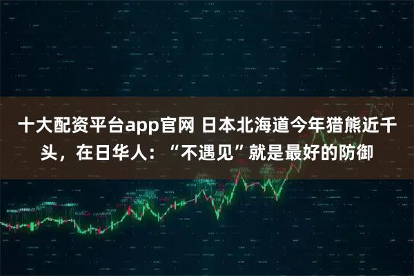 十大配资平台app官网 日本北海道今年猎熊近千头，在日华人：“不遇见”就是最好的防御