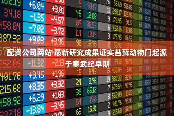 配资公司网站 最新研究成果证实苔藓动物门起源于寒武纪早期