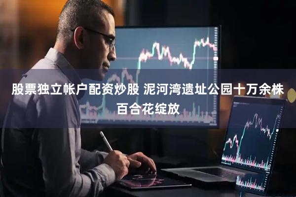 股票独立帐户配资炒股 泥河湾遗址公园十万余株百合花绽放